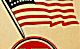 flag & swastika
