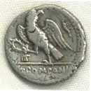 fascism =  socialism as the fasces shows