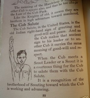 Boy Scouts thumbnail Cub salute Nazi salute Pledge of Allegiance