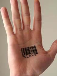 Social Security Card Number tattoo barcode