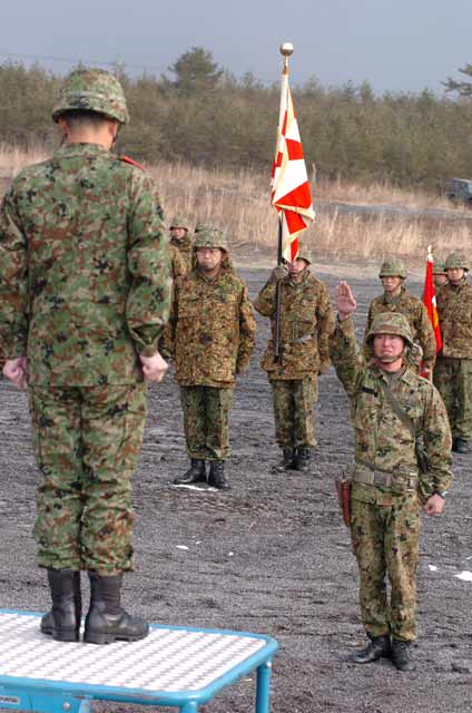 American salute Japanese military salute Nazi salute