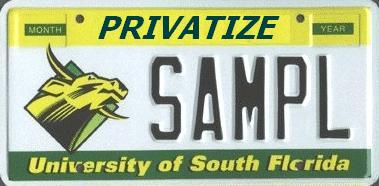 university & college instructors professors adjunct faculty teachers GOVERNMENT SCHOOLS MUST END Privatize USF